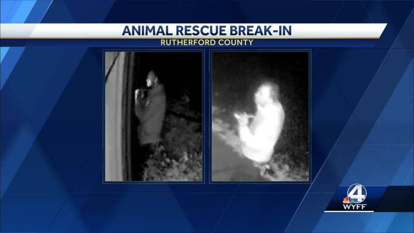 North Carolina: Man accused of breaking into animal rescue North Carolina: Man accused of breaking into animal rescue