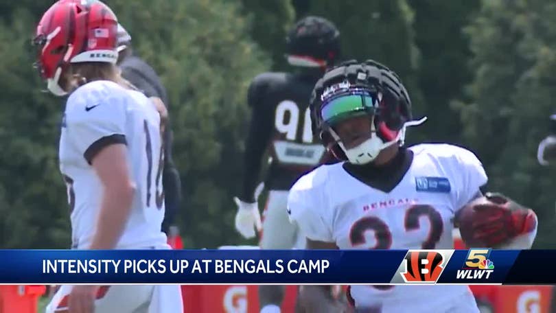 Cincinnati Bengals running back Trayveon Williams (32) performs a drill  during practice at the team's NFL football training facility, Tuesday, June  6, 2023, in Cincinnati. (AP Photo/Jeff Dean Stock Photo - Alamy