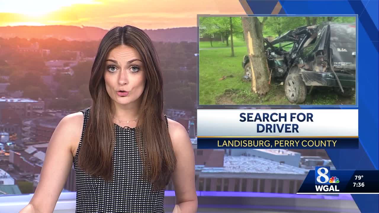 Driver flees on foot after SUV crashes into tree in Perry County