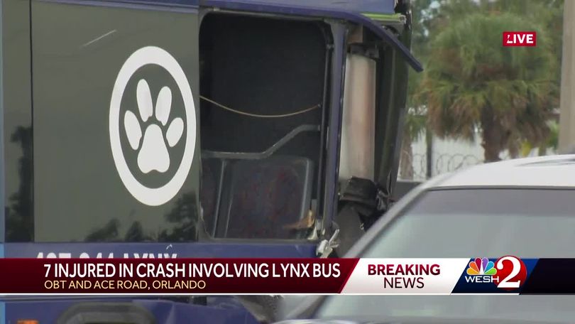 Male Accused of Damaging LYNX Bus for Dropping Him Off at Walt Disney World  Instead of SeaWorld Orlando Won't Be Charged : r/SeaWorld