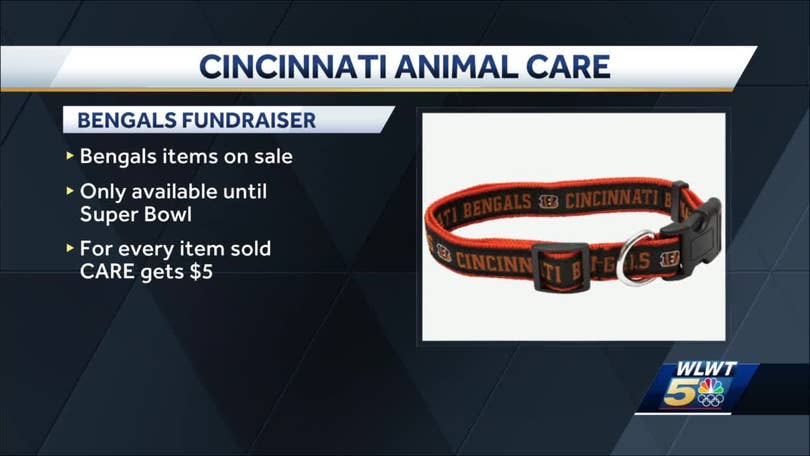 Cincinnati humane society offering special Bengals pet collars