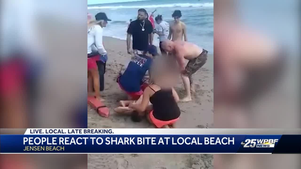 shark bathtub beach