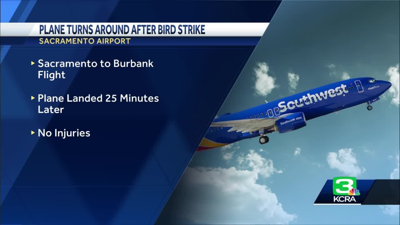 Southwest flight lands back in Sacramento after bird strike