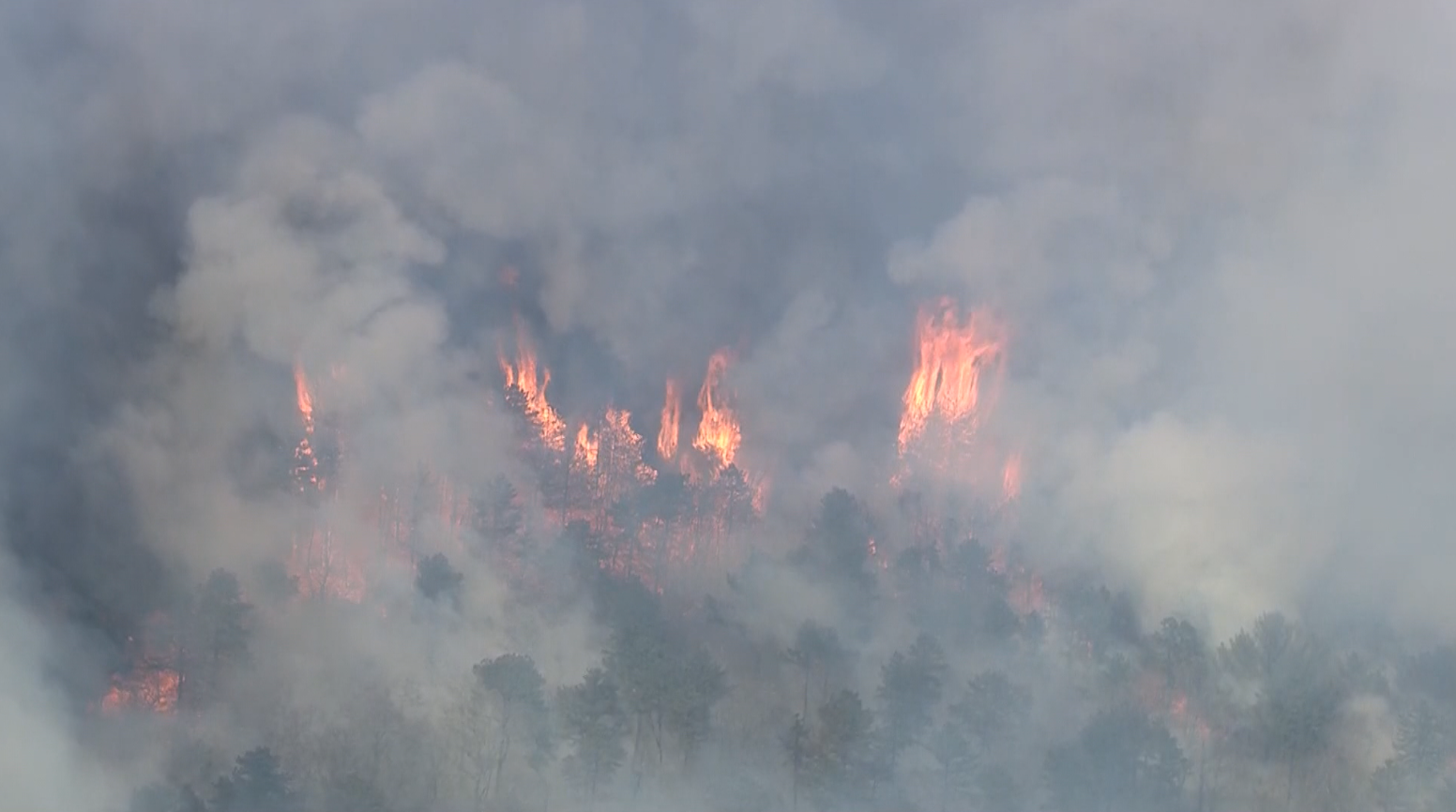 Multiple fire departments battle large brush fire on Cape Cod Flipboard