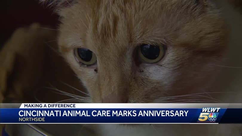 Cincinnati Animal CARE settles in after hectic year Cincinnati Animal CARE settles in after hectic year