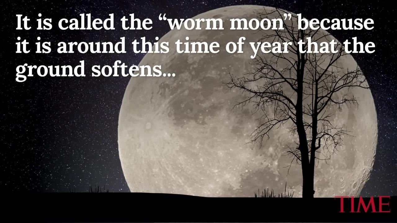 Featured image of post Moon Night Light Quotes - Well you&#039;re in luck, because here they come.