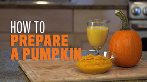 preview for Quick Bites: Perfect Pumpkin Smoothie