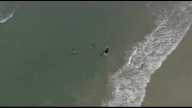 Raw Video Shark Swims Near Beachgoers On New Smyrna Beach