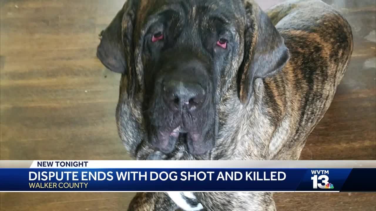 Walker County Man Accused Of Shooting Killing Neighbors Dogs In