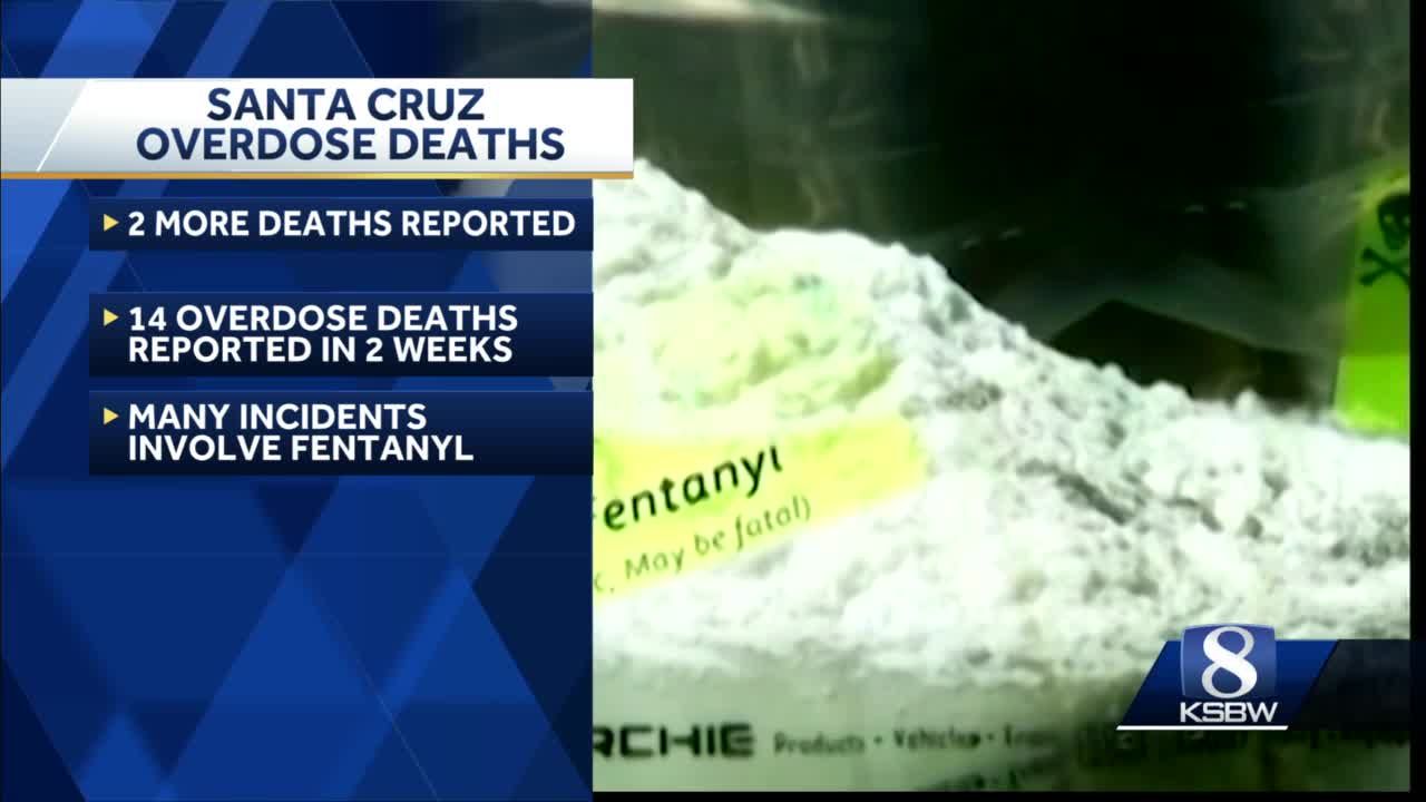 Santa Cruz police respond to 14 overdoses in 14 days