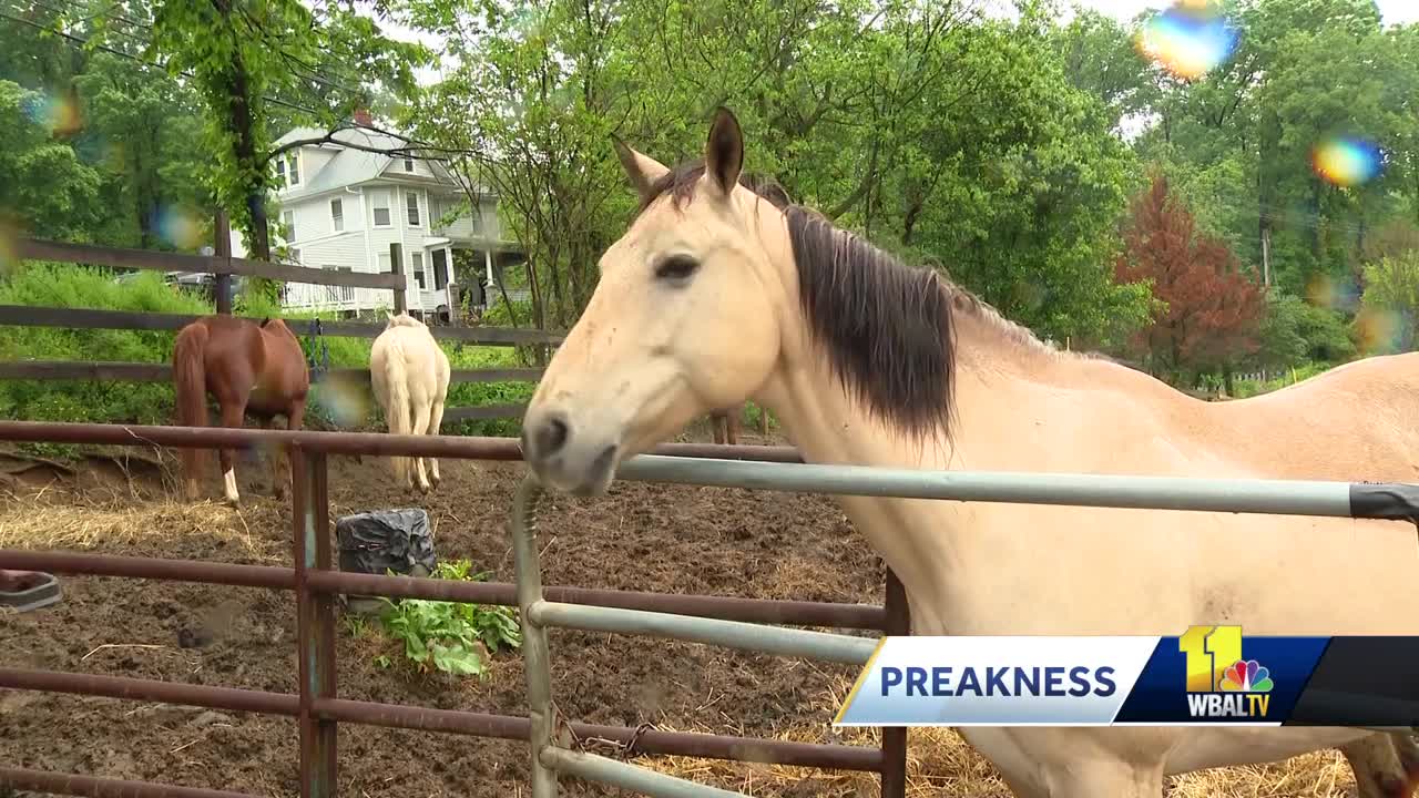 City Ranch exposes kids to everything with horses