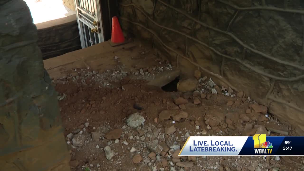 Woman says groundhogs keep invading her yard