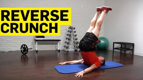 How to Do a Reverse Crunch Workout - Best Ab and Core Exercises