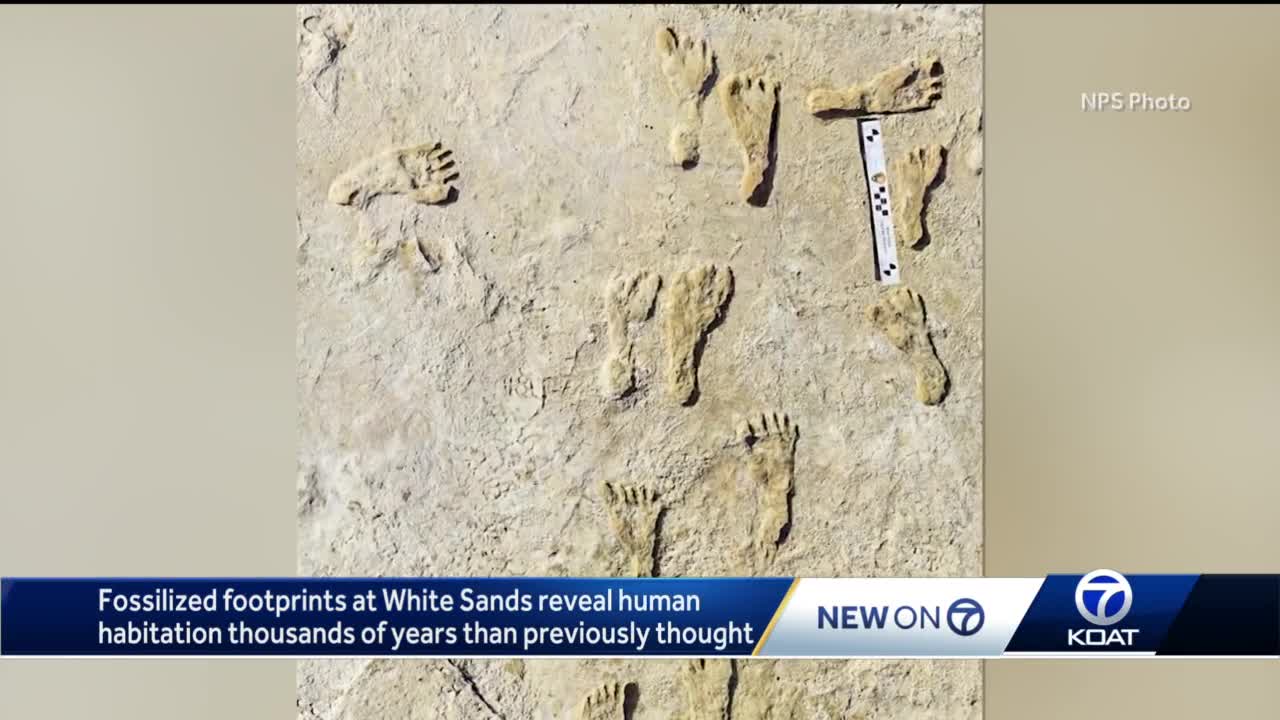 Fossilized Footprints - White Sands National Park (U.S. National