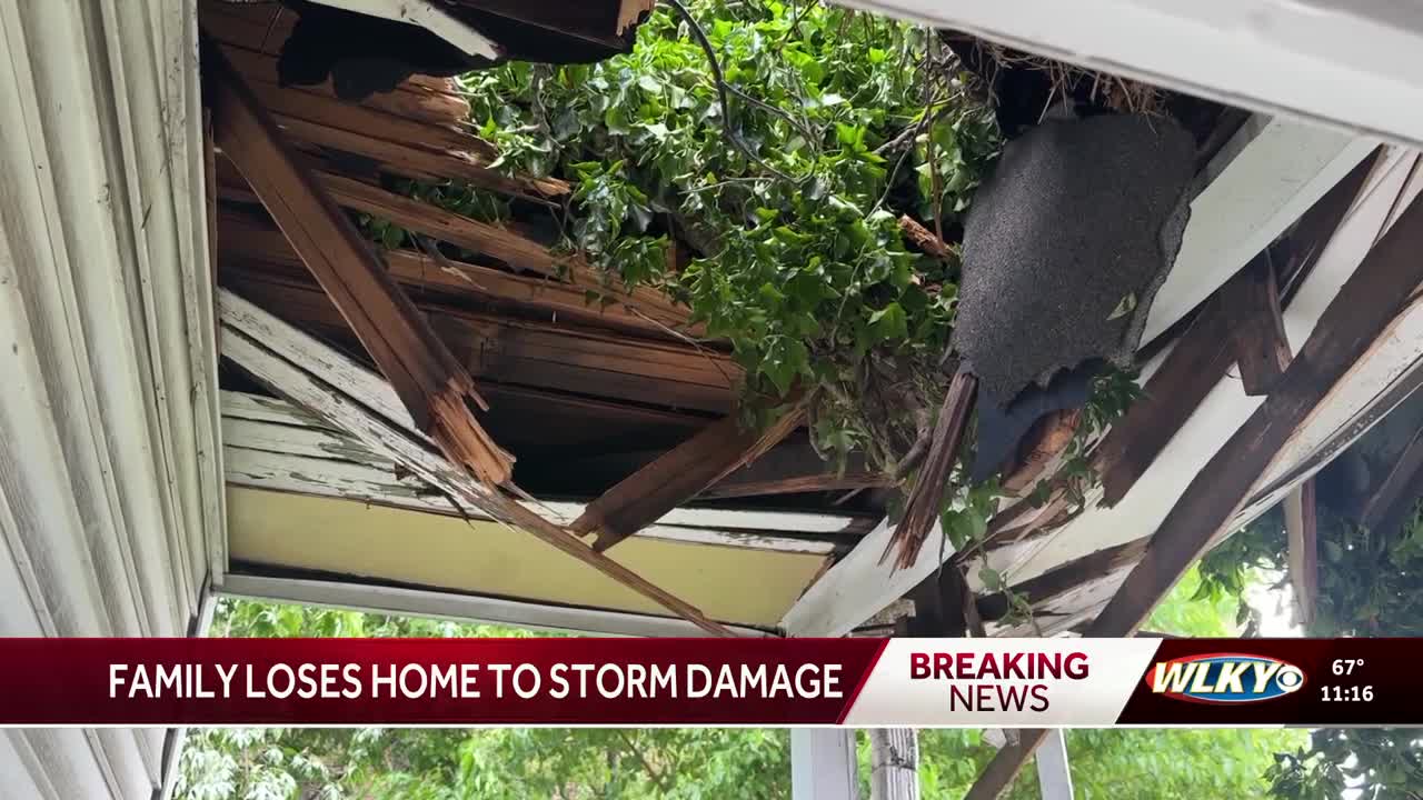 Louisville Mother pleads for help after tree smashes into house