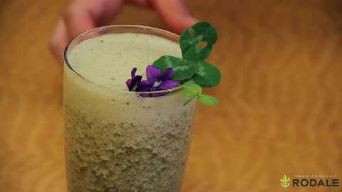 preview for Maintain a Weed Smoothie