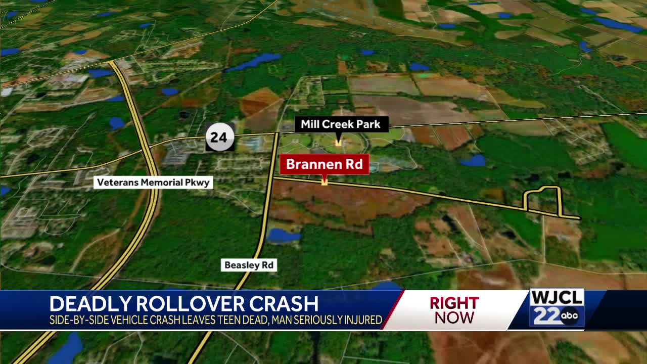 Juvenile killed, brother seriously injured in Bulloch County UTV crash