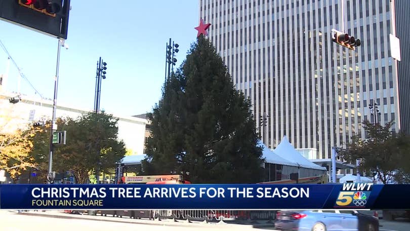 Where Did Cincinnatis Christmas Tree Come From In 2022 First Look: Cincinnati's Fountain Square Christmas Tree Is Here