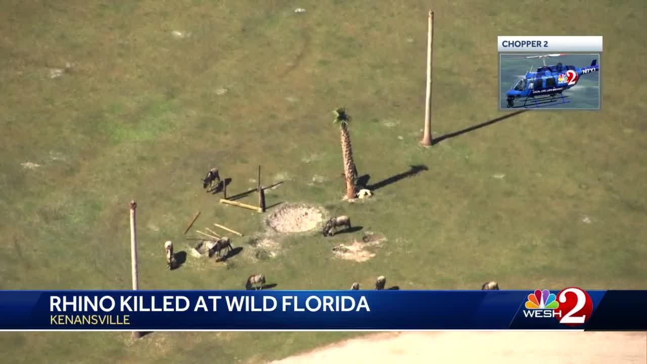 White rhino shot dead at safari park near Orlando