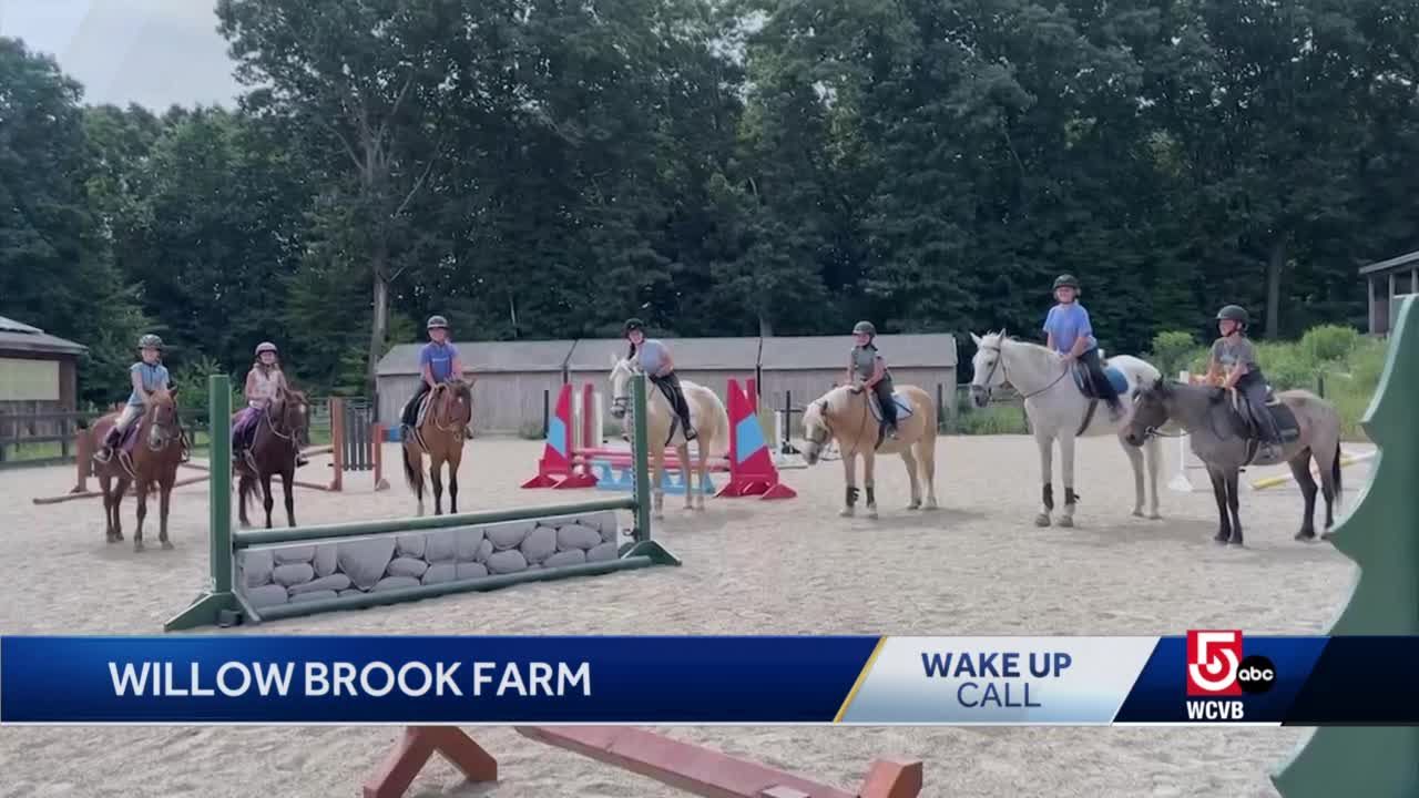 Wake up call: Willow Brook Farm