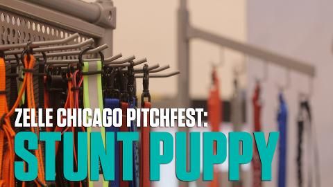 preview for Chicago Pitchfest: Stunt Puppy