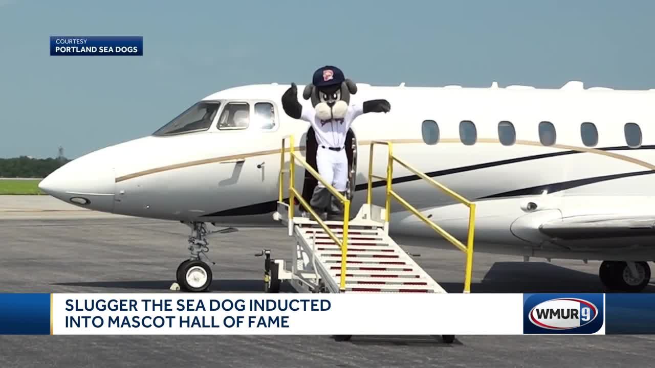 Portland Sea Dogs' Slugger Wins Double Mascot Hall of Fame Awards