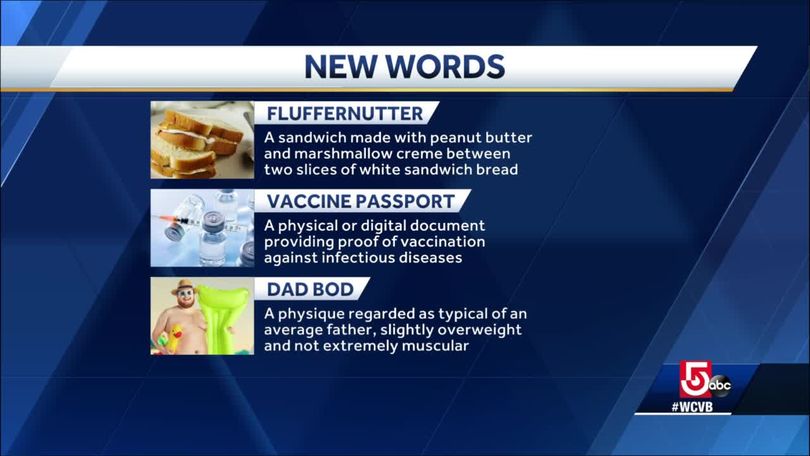 Merriam-Webster Adds Fluffernutter to the Dictionary - The New