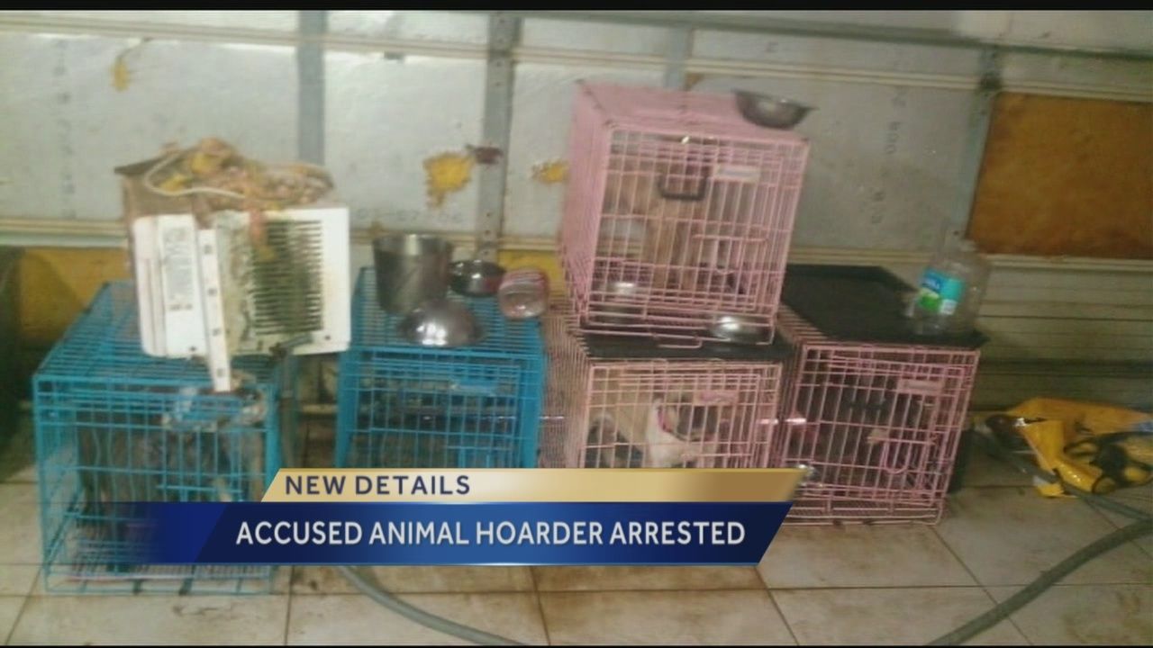 Woman arrested after pricey pooches found living amid deplorable conditions