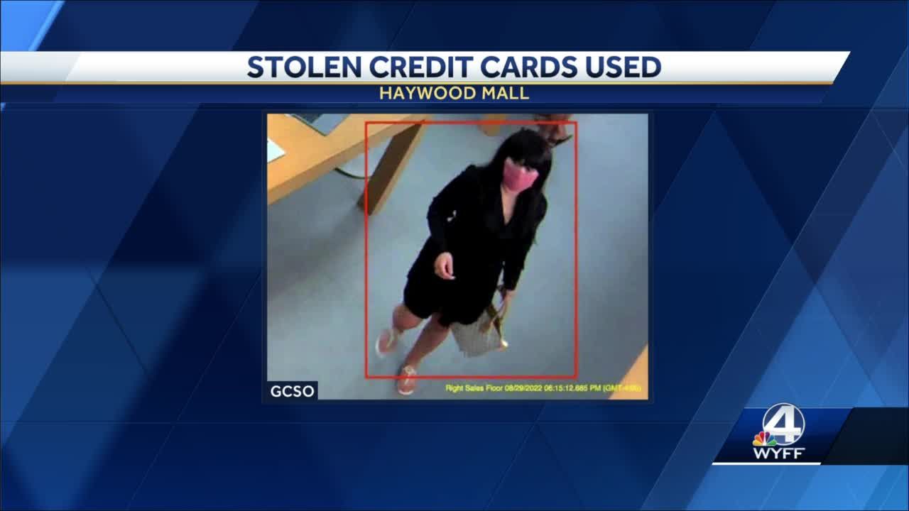 Haywood Mall credit card fraud investigation