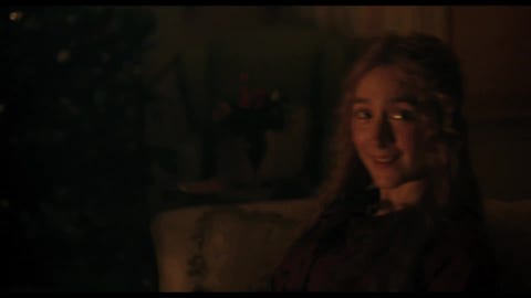 Timothee Chalamet S Hair Is The Real Star Of The Little Women Trailer