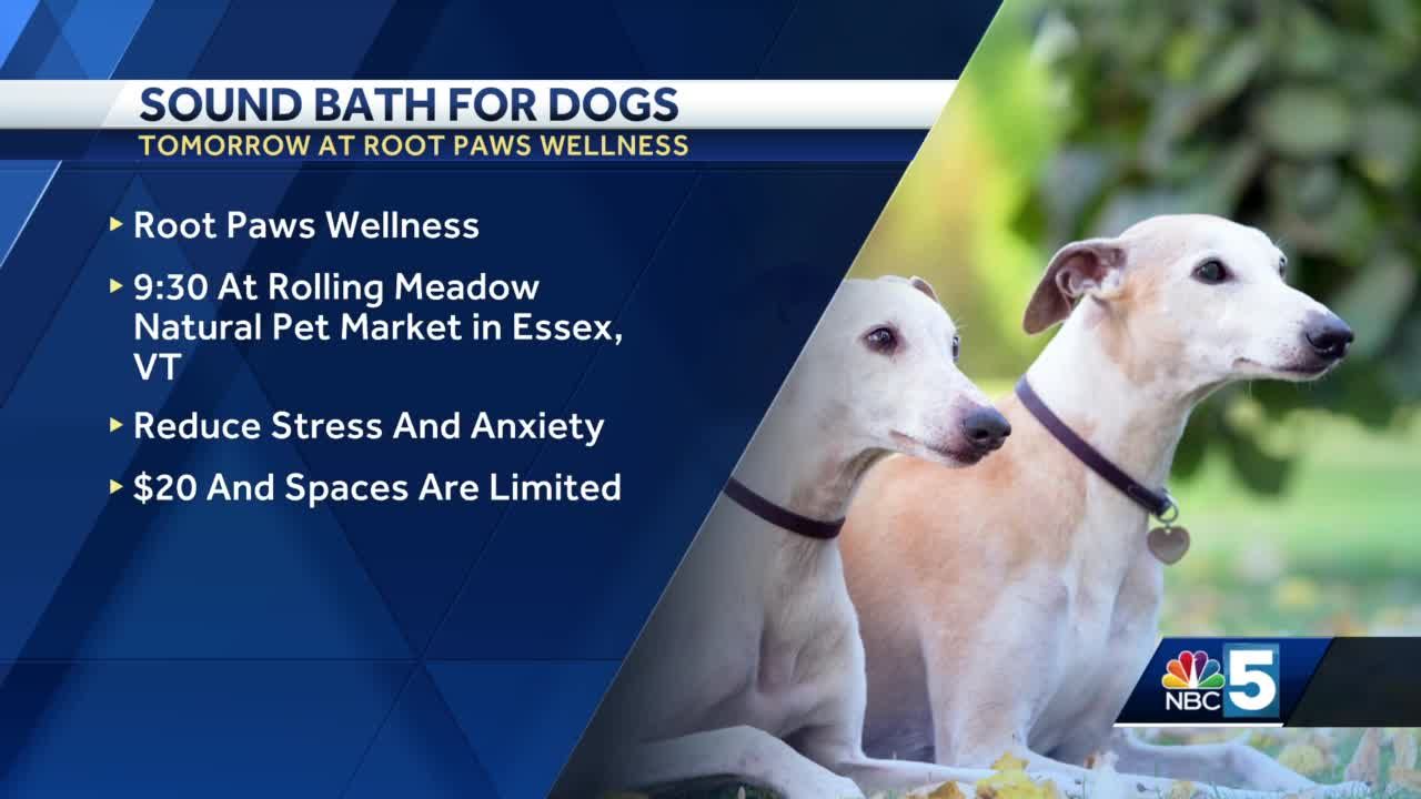 Pet shop hosts sound bath for dogs and owners on Feb. 5