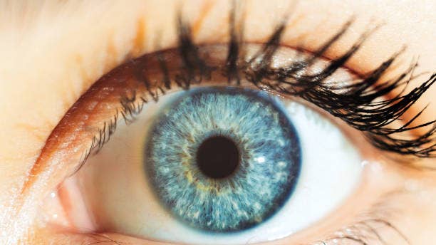 Eyes: The windows of the soul and health