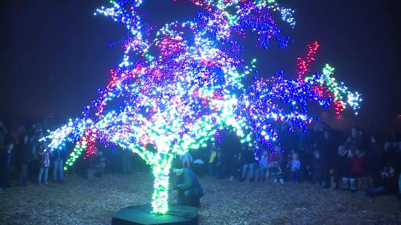 NOW OPEN: Lee's Summit Magic Tree set to inspire another season of giving
