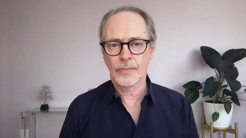Actor Steve Buscemi Punched in the Face in New York City