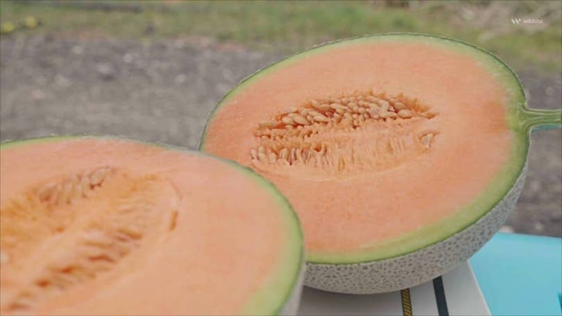 Cantaloupe outbreak: Fruit recalled at Trader Joe's, Kroger, Sprouts