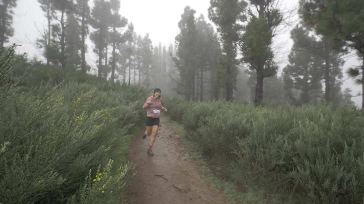 preview for Resumen de la Starter de la Transgrancanaria 2023