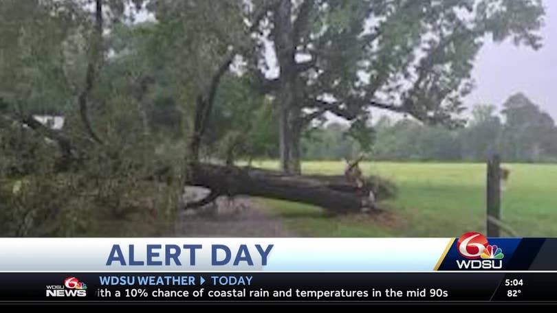 Tuesday storms cause damage, left 11,000 without power