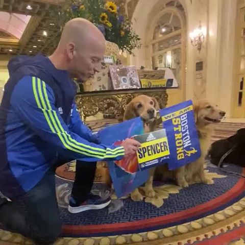 preview for Spencer named 'official dog' of the Boston Marathon