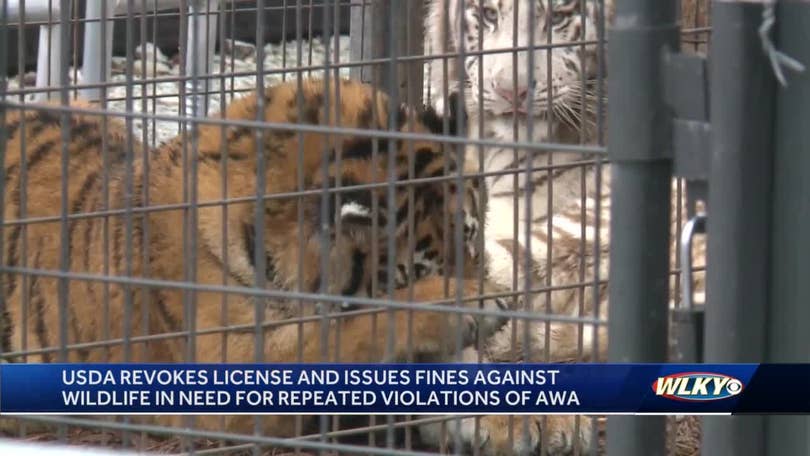 Wildlife center in southern Indiana loses license over treatment of animals Wildlife center in southern Indiana loses license over treatment of animals