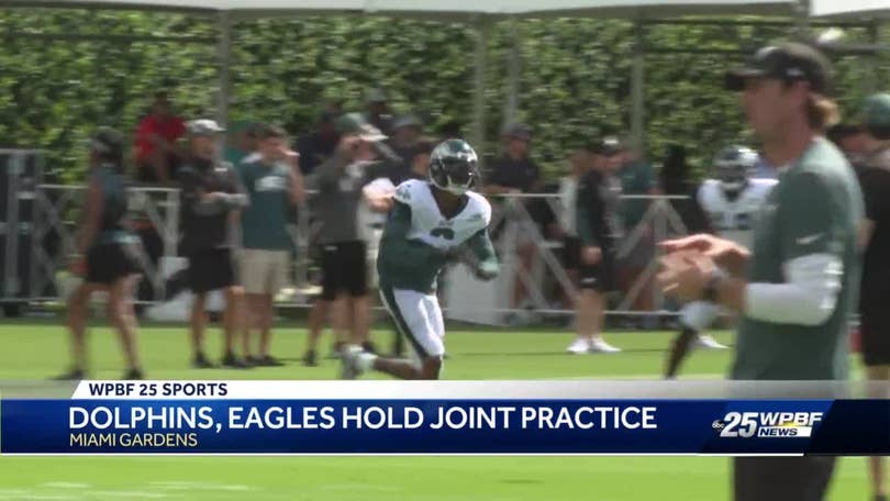 Dolphins host Eagles for joint practices