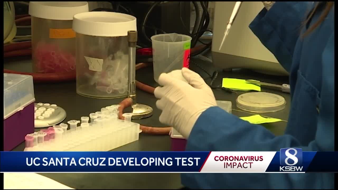 UC Santa Cruz scientists to provide rapid COVID 19 testing by end