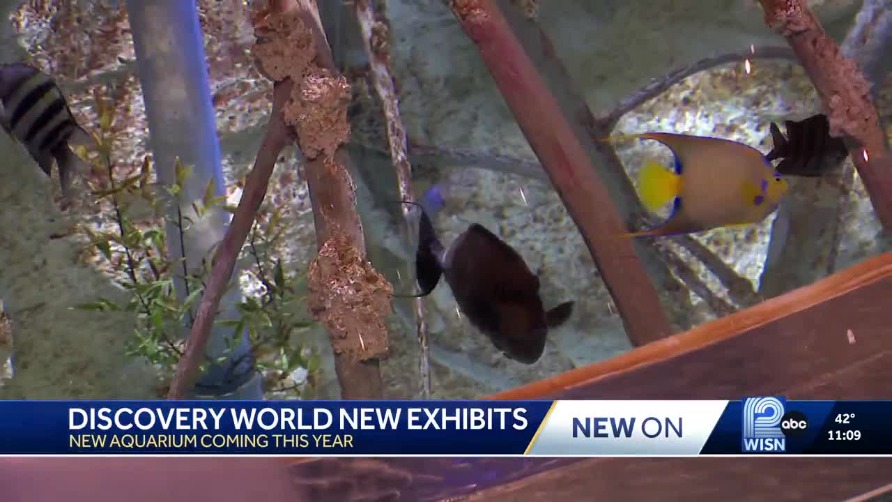 Discovery World unveils new exhibits in Milwaukee, taking you into the tank