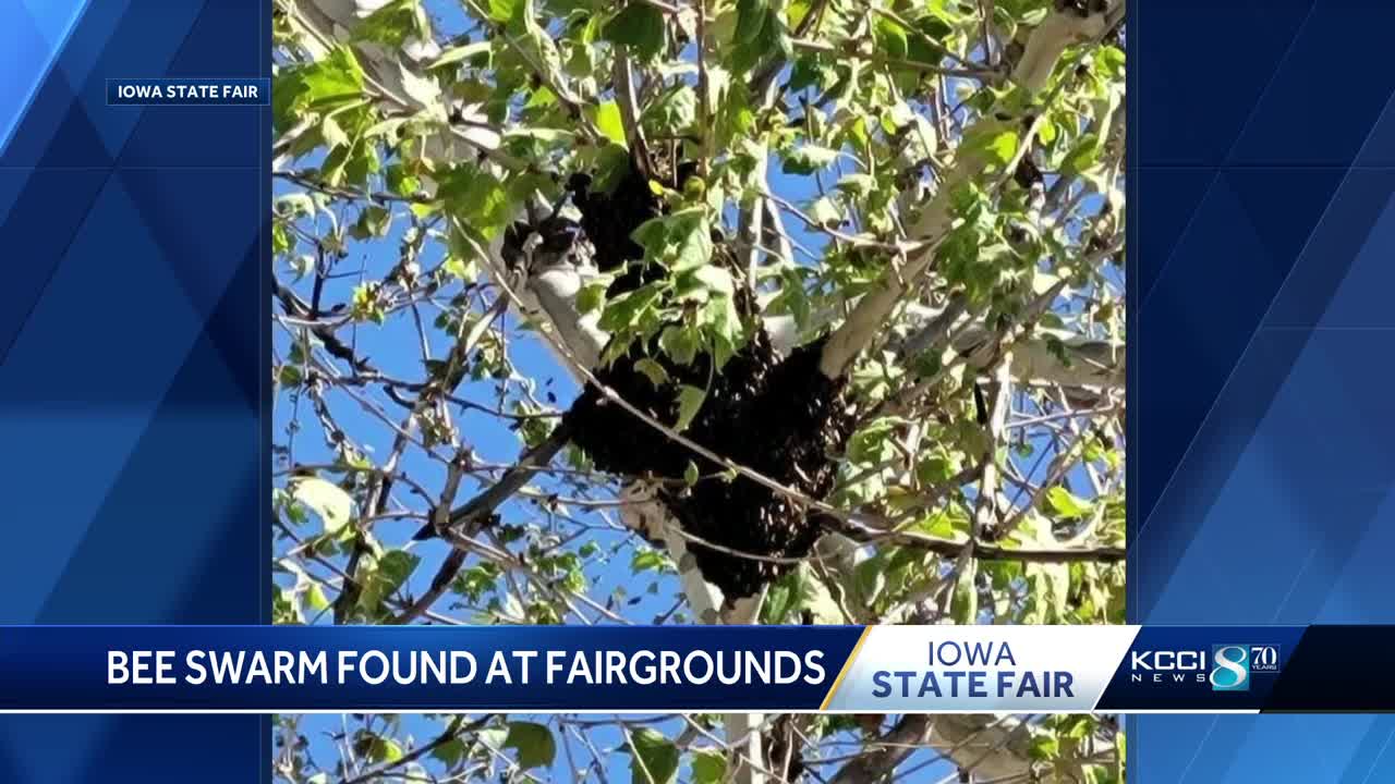 Beehive — on a stick? — at the Iowa State Fair