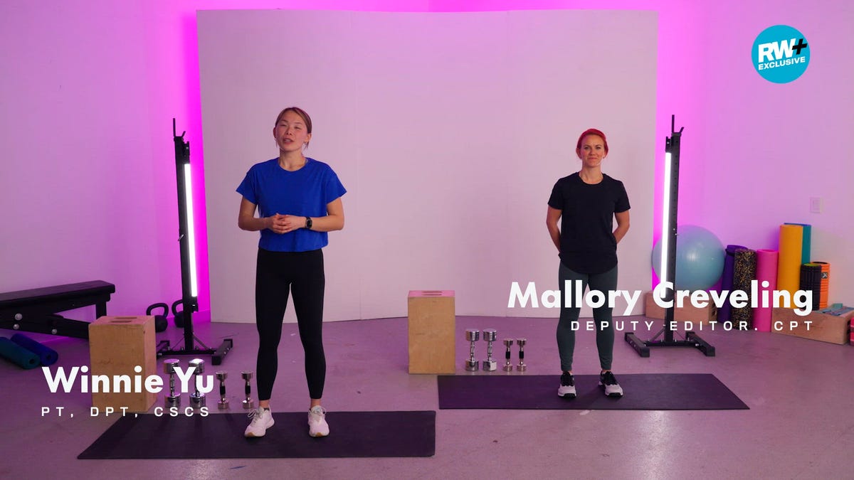 person performing a workout with dumbbells on a mat in a gym