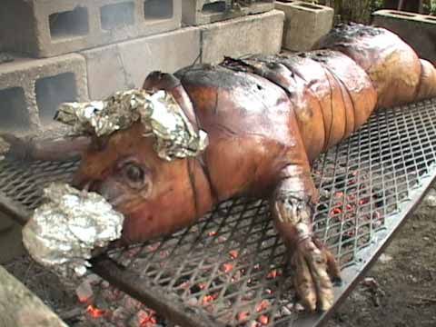 Whole clearance pig rotisserie