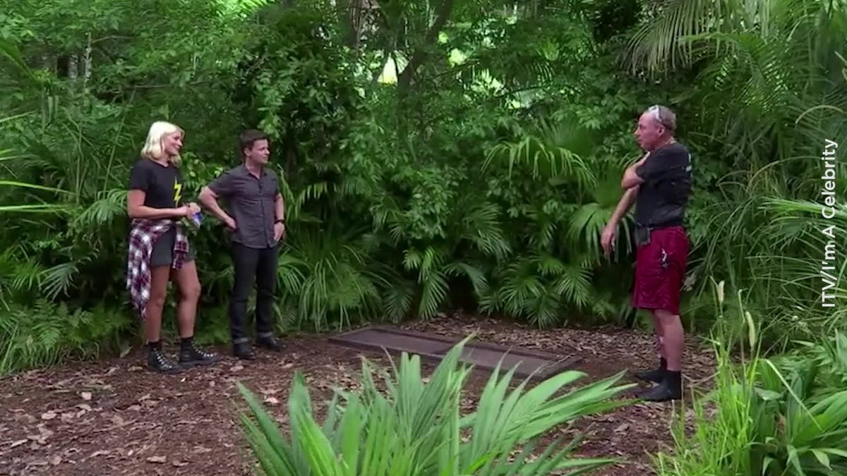preview for I'm A Celebrity's Holly Willoughby cries as Harry Redknapp completes final task before winning show
