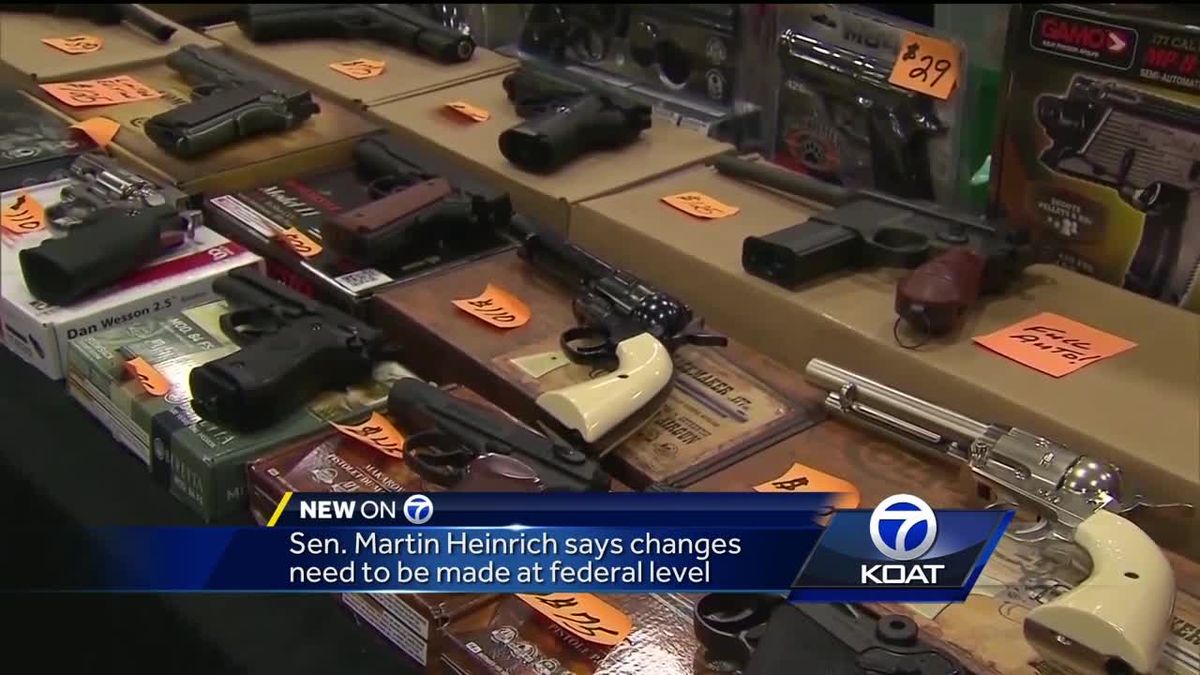preview for Lawmakers want gun legislation immediately