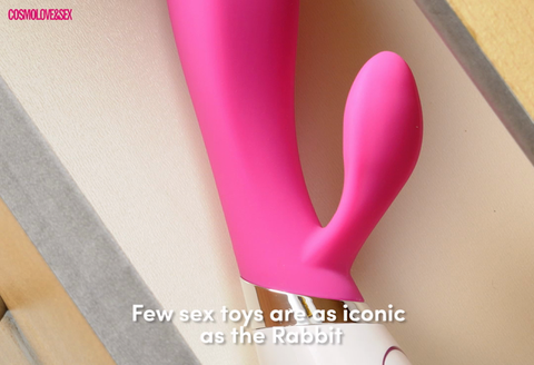 preview for A Brief History of The Rabbit Vibrator