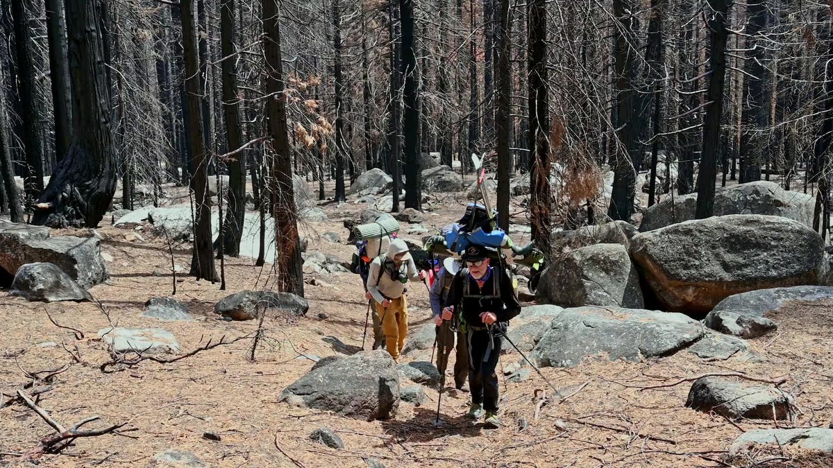 preview for Surviving the Sierra, Introduction