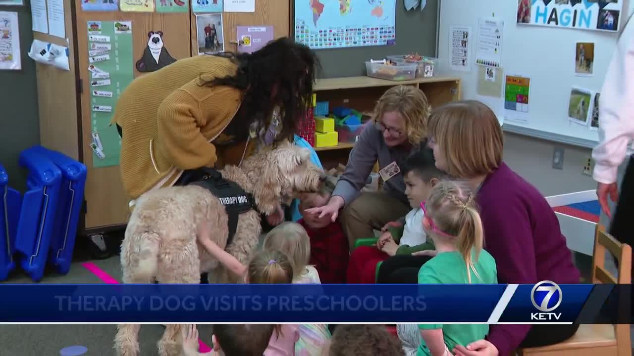 Papillion-La Vista preschoolers learn importance of service dogs with special classroom guest